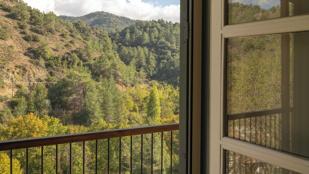 A view from a window with a wooden railing, overlooking a forested hillside with a mix of trees and shrubs. - Casa Oliva (Treis Elies)