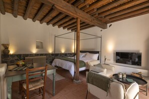 Studio Standard, vue montagne