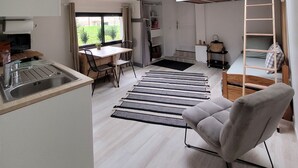 Un appartement moderne et compact comprenant une cuisine, un coin repas et une chambre en mezzanine avec une lucarne.