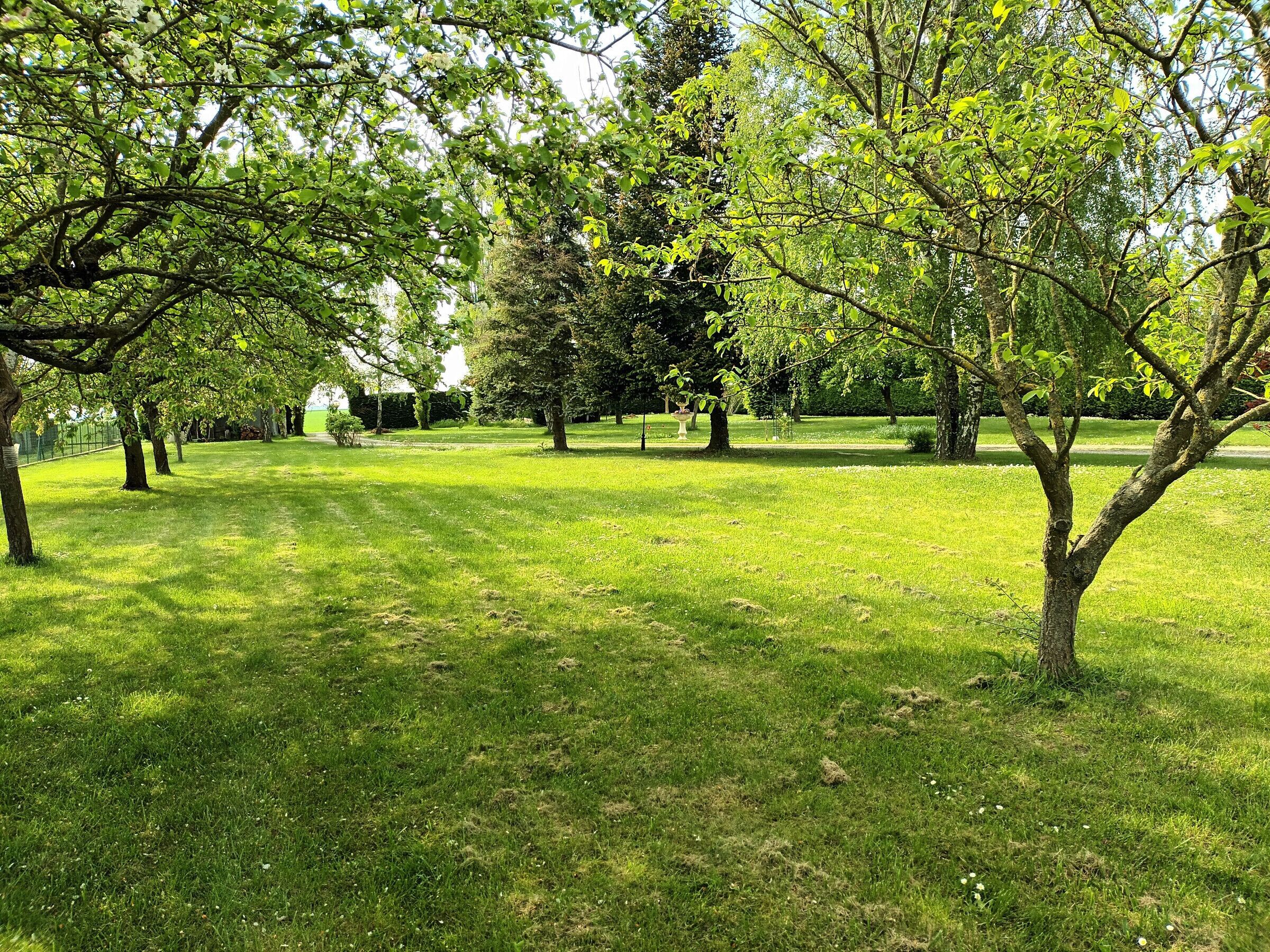 A park with a grassy area, trees, and a pathway.