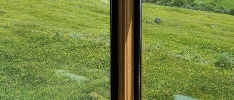 2 slaapkamers, gratis wifi, beddengoed