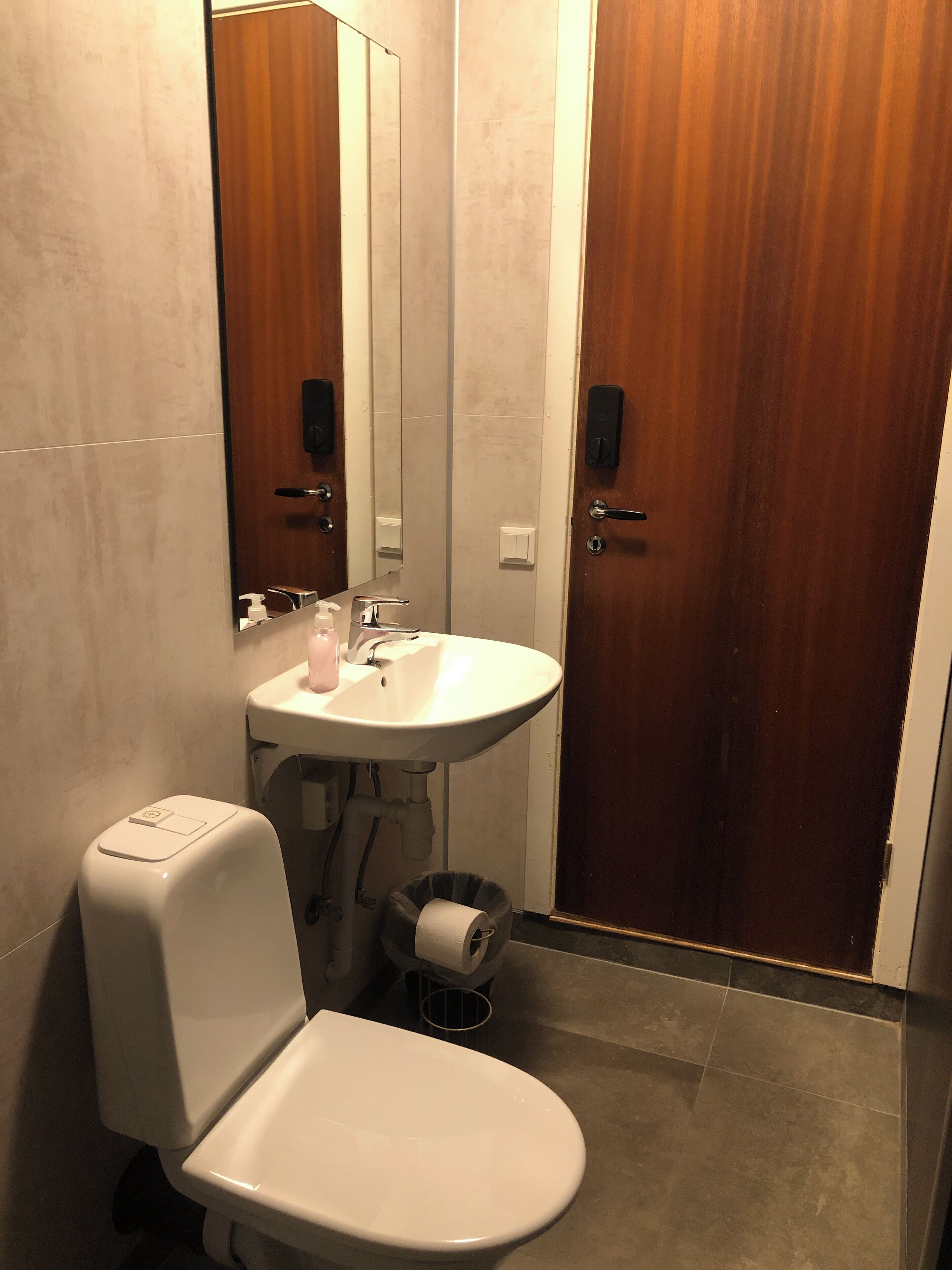A bathroom with a toilet, sink, and mirror.