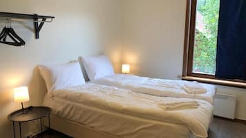 Economy Double Room Glacier View