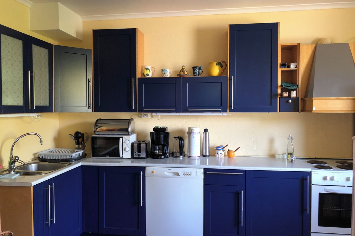 A compact kitchen with dark blue cabinets, a white dishwasher, a stove, and a microwave.