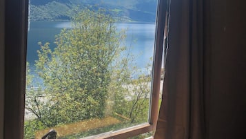 Deluxe kamer, 1 twee- of 2 eenpersoonsbedden, niet-roken (Deluxe Double or Twin Lake view) | Uitzicht vanuit de kamer