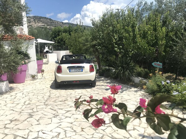 A white convertible car parked on a cobblestone driveway with potted plants and a sign indicating 'Orchidea'.