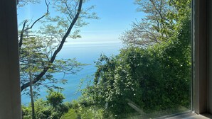 Vista pela janela de uma paisagem costeira com árvores e céu claro.
