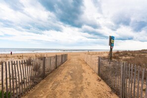 On the beach
