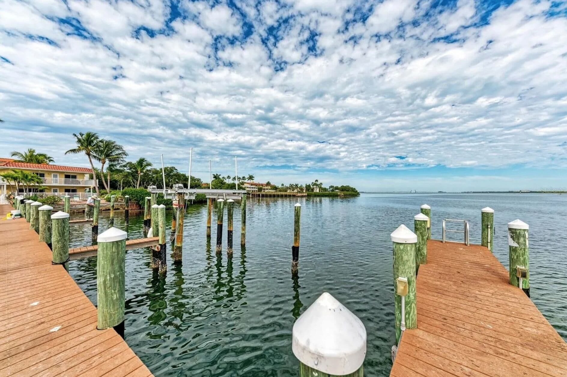 A wooden dock extending into calm water, surrounded by lush greenery and a clear sky.