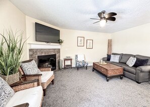 Télévision, cheminée, lecteur de DVD