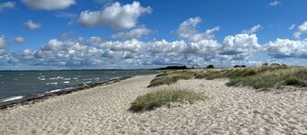 Fantastic vacation home with barrel sauna and wallbox