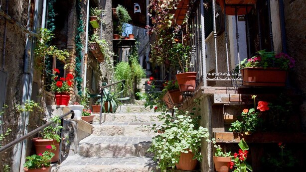 A narrow stone staircase with potted plants and flowers on both sides, leading to a building entrance.