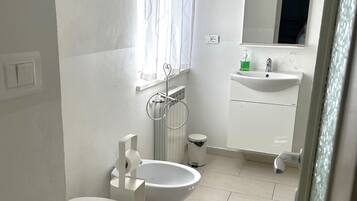 Shower, hair dryer, bidet, towels