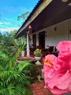 Exterior - KALUM HOME (Sigiriya)