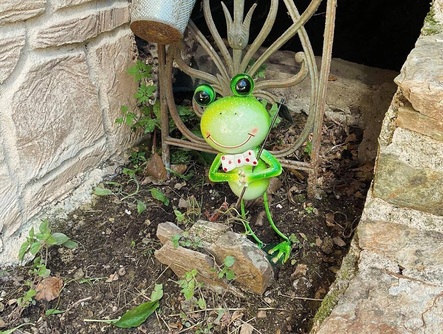 Une statue de grenouille, de couleur verte avec des pois rouges, est placée dans un jardin, avec un mur de pierre et une structure métallique en arrière-plan.