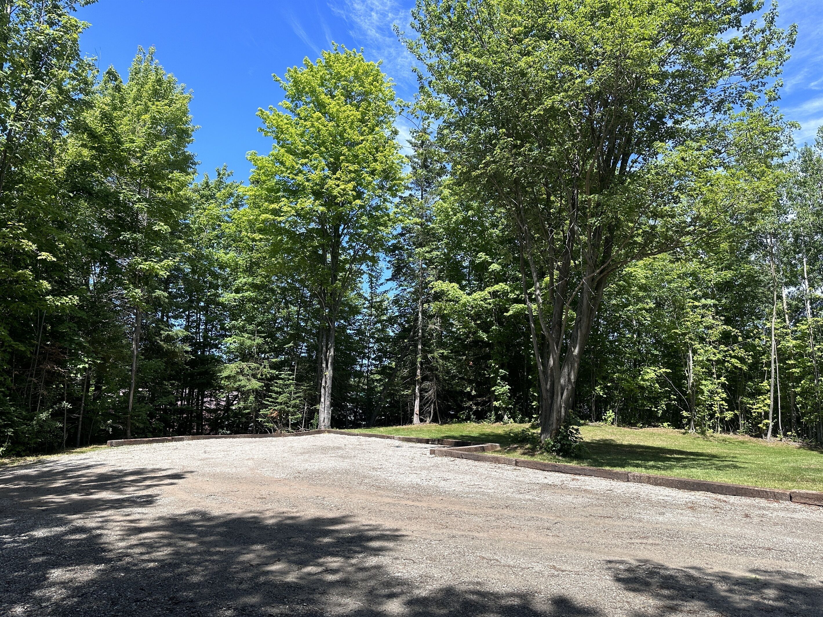 A gravel parking area surrounded by tall trees with a clear blue sky above.