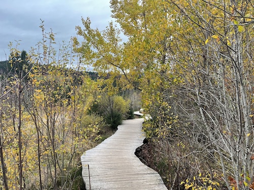 Ferienwohnung Waldblick