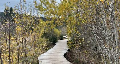 Ferienwohnung Waldblick