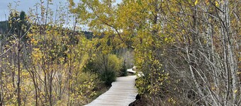 Ferienwohnung Waldblick