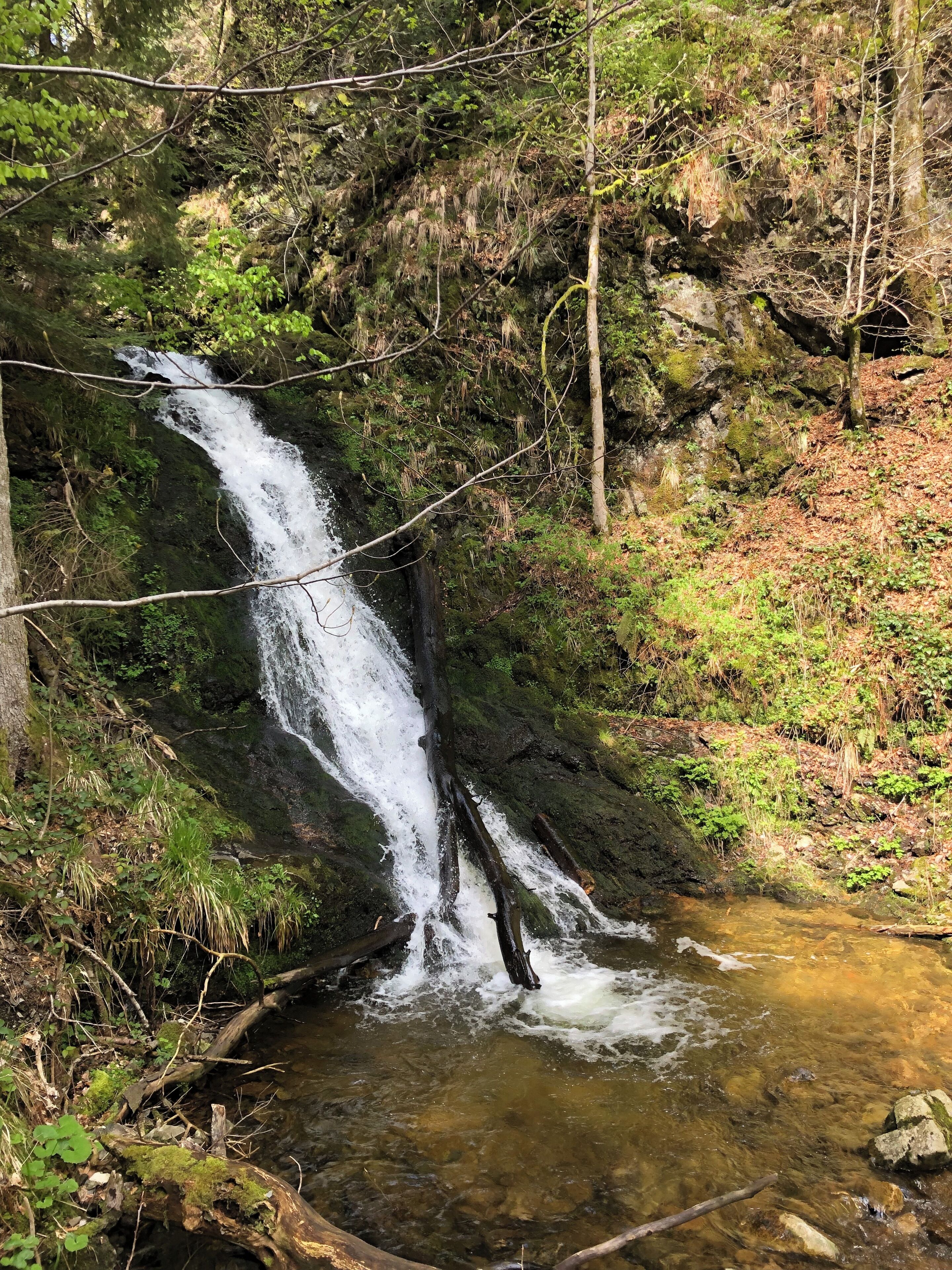 Een waterval stort over rotsen in een heldere beek, omringd door dicht bos.