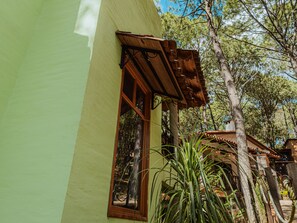 Un bâtiment à l’extérieur verdoyant, avec un cadre de fenêtre en bois et une pergola en bois.