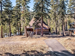 Un rustico chalet circondato da alti pini, con un sentiero sterrato che conduce all'ingresso.