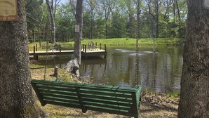 Un parque con un columpio, un muelle de madera y un banco verde junto a un lago.