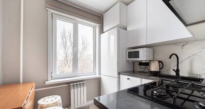 Two Bedroom Apartment In The Heart of Almaty