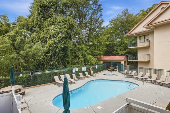 A swimming pool with lounge chairs and umbrellas, surrounded by a fence and trees.