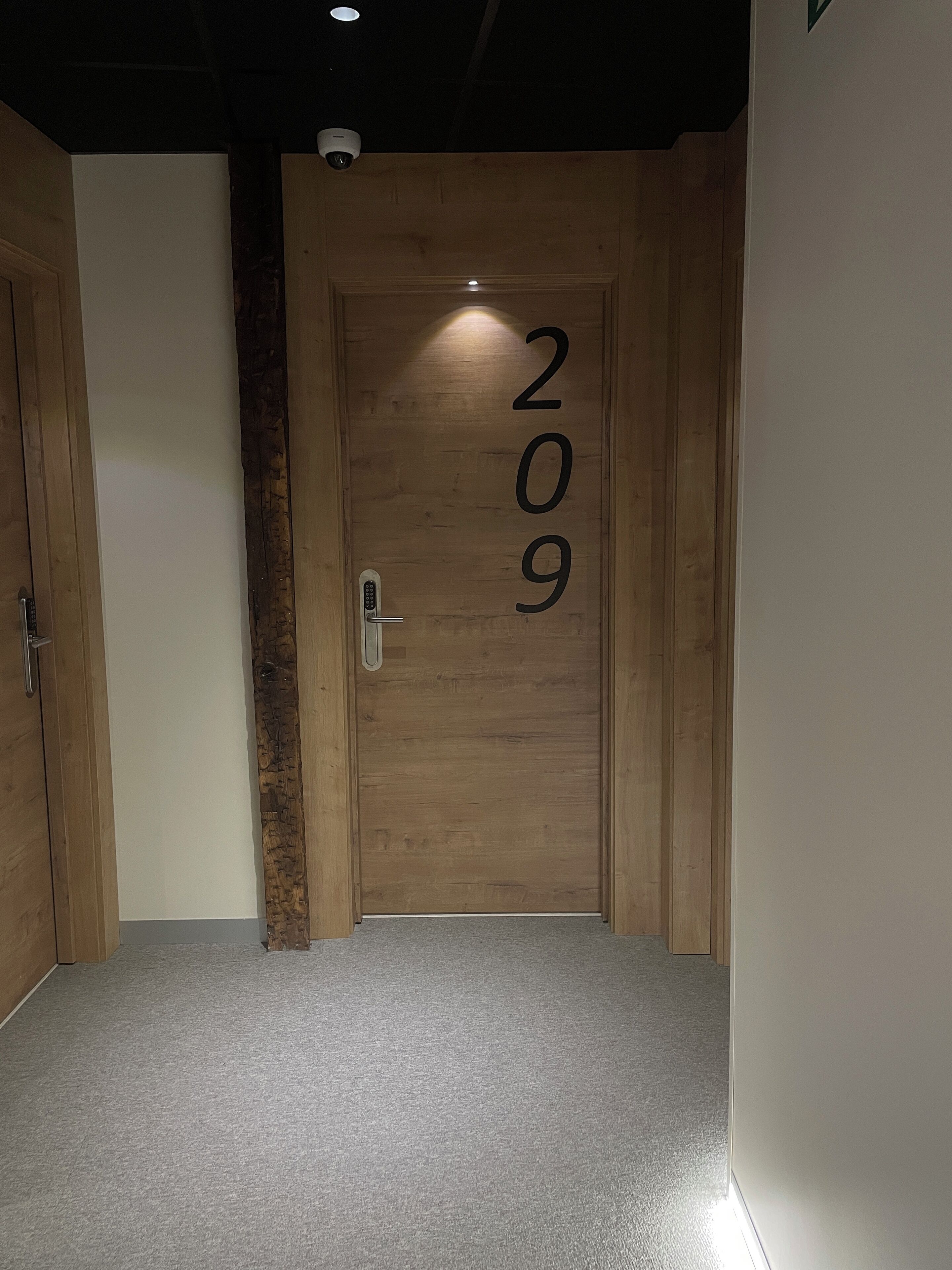 A hallway with a wooden door marked with the number 209, a security camera above, and a carpeted floor.
