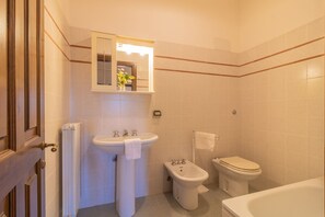 Shower, hair dryer, bidet, towels