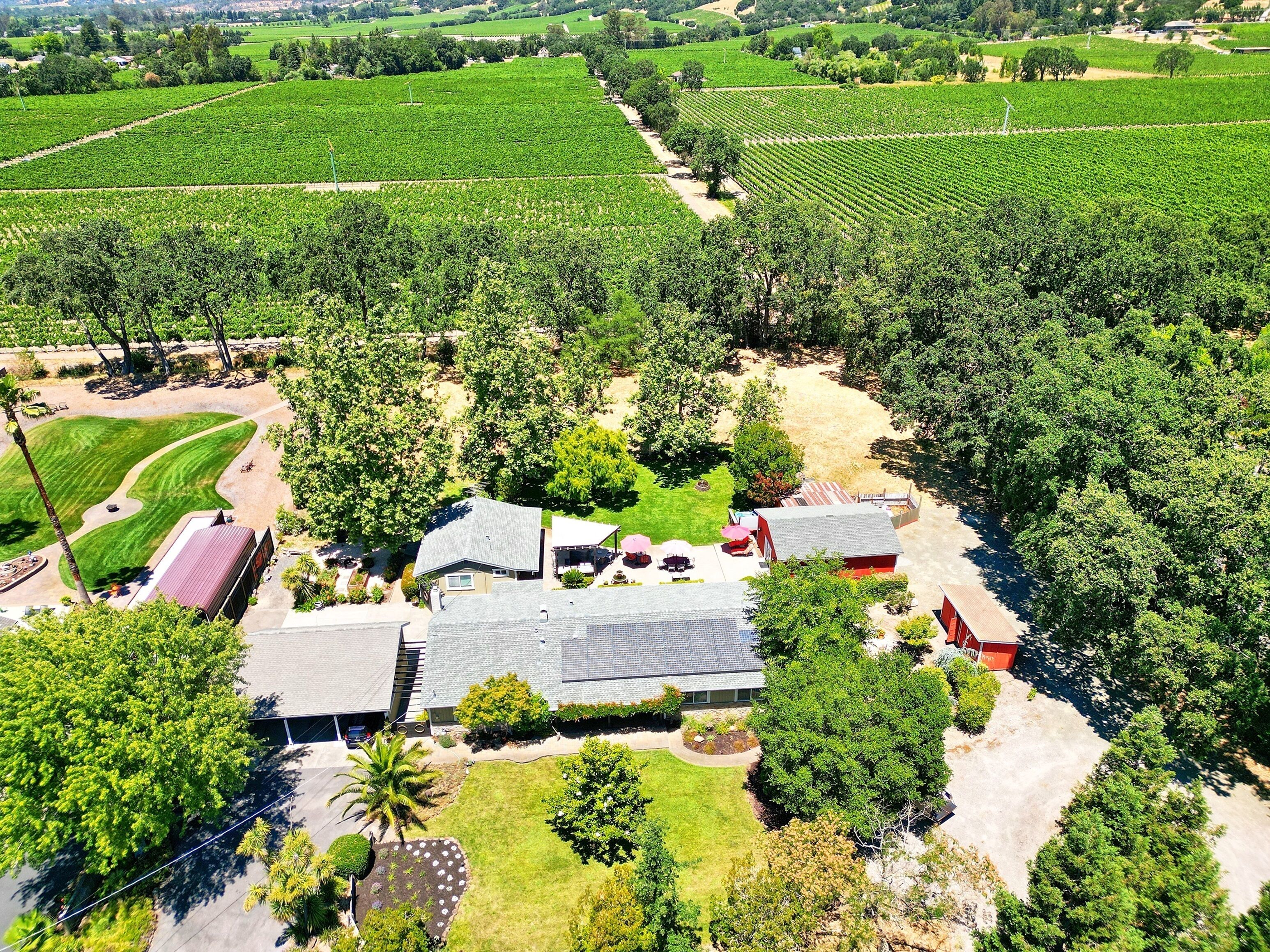 New! Wine Country Family Oasis: Serene Vineyard Views, 3 units