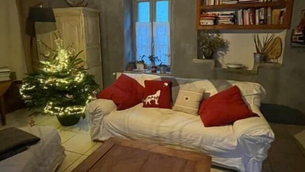Ein gemütliches Wohnzimmer mit einem weißen Sofa, roten Kissen, einem Holztisch, einem Weihnachtsbaum und einem Bücherregal.