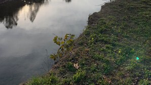 Un río tranquilo con un reflejo claro del cielo y los árboles circundantes.
