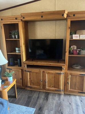 Interior - Lovely home with gorgeous year round view. Minutes to Asheville (Candler)