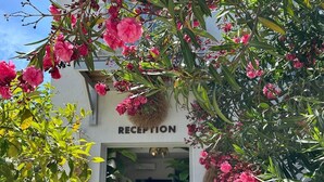 A reception area with a sign, steps leading up to the entrance, and potted plants around. - Mumu Bodrum Hotel (Bodrum)