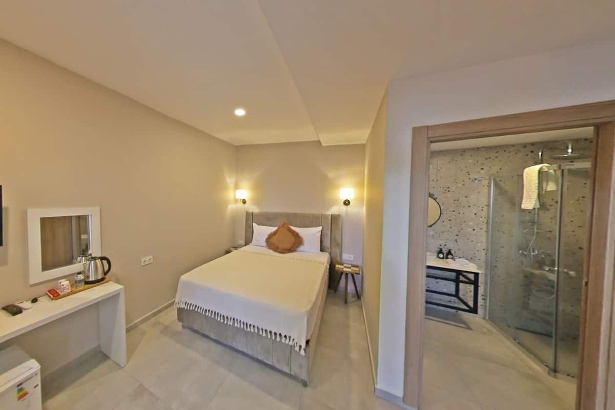 Habitación de hotel con cama, televisor, escritorio y zona de ducha.