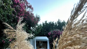 A pool area with a white structure in the background, surrounded by tall, dry plants. - Mumu Bodrum Hotel (Bodrum)