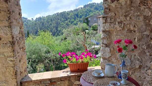 A stone wall with a table set for tea, a potted plant with pink flowers, and a view of a forested hillside. - House on hillside with garden. Relaxation near Lucca and the sea. Pets allowed (Fibbiano)