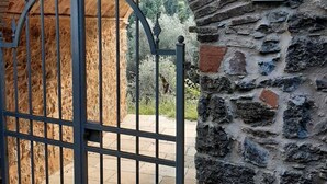 A stone wall with a metal gate and a house number sign. - House on hillside with garden. Relaxation near Lucca and the sea. Pets allowed (Fibbiano)