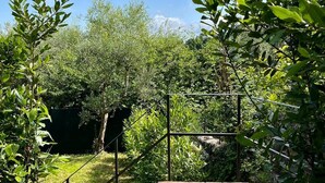 A garden with a metal staircase leading to a concrete platform, surrounded by lush greenery and trees. - House on hillside with garden. Relaxation near Lucca and the sea. Pets allowed (Fibbiano)