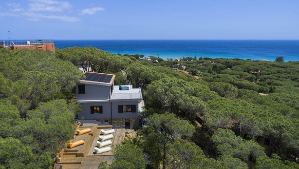 A modern house with a rooftop deck, surrounded by dense greenery and a view of the ocean. - Villa Opuntia - Sirens Avenue (Pula)