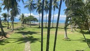 Un paysage tropical, avec des palmiers et une vue dégagée sur l’océan.