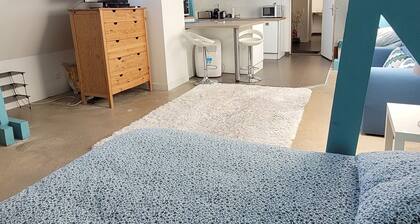 Maison familiale,poĂȘlĂ© bois,jardin. Proche Paris/Dysneyland.Animaux acceptĂ©s.