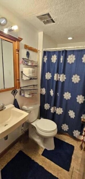 Regadera, toallas, jabón, shampoo 