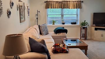 Smart TV, fireplace, DVD player, books