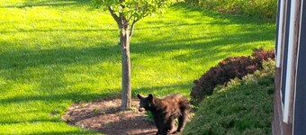 Apple Mountain Retreat