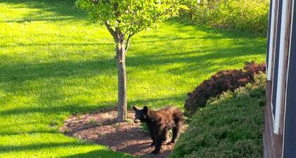 Apple Mountain Retreat