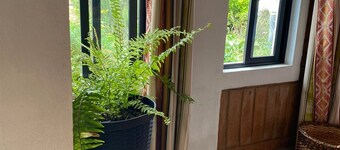 Enchanting Studio With WiFi in Cotacachi, Ecuador