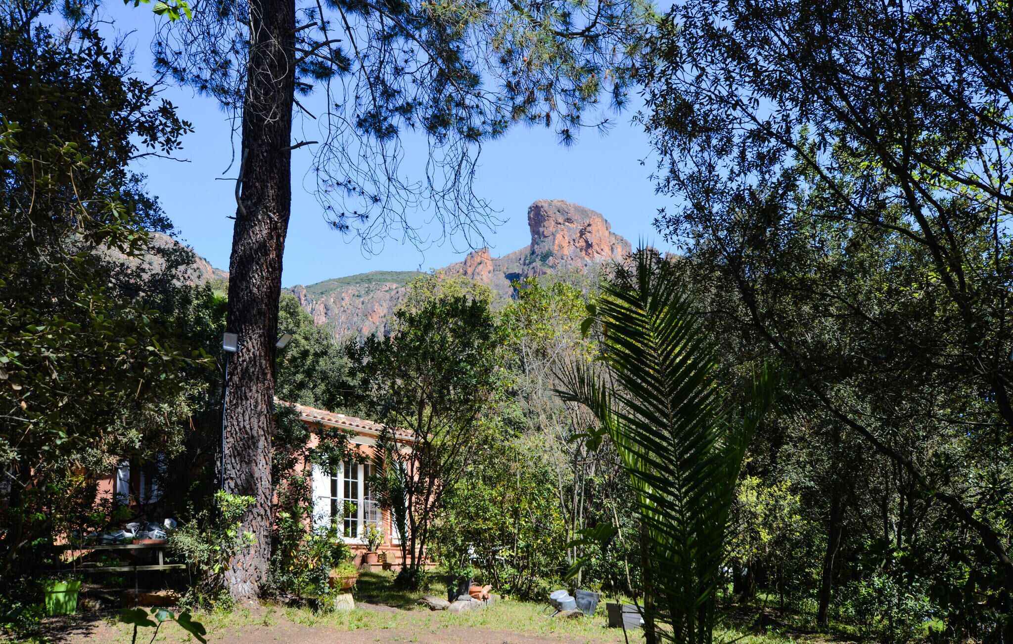 A rustic building with a garden, surrounded by trees and a mountain in the background.